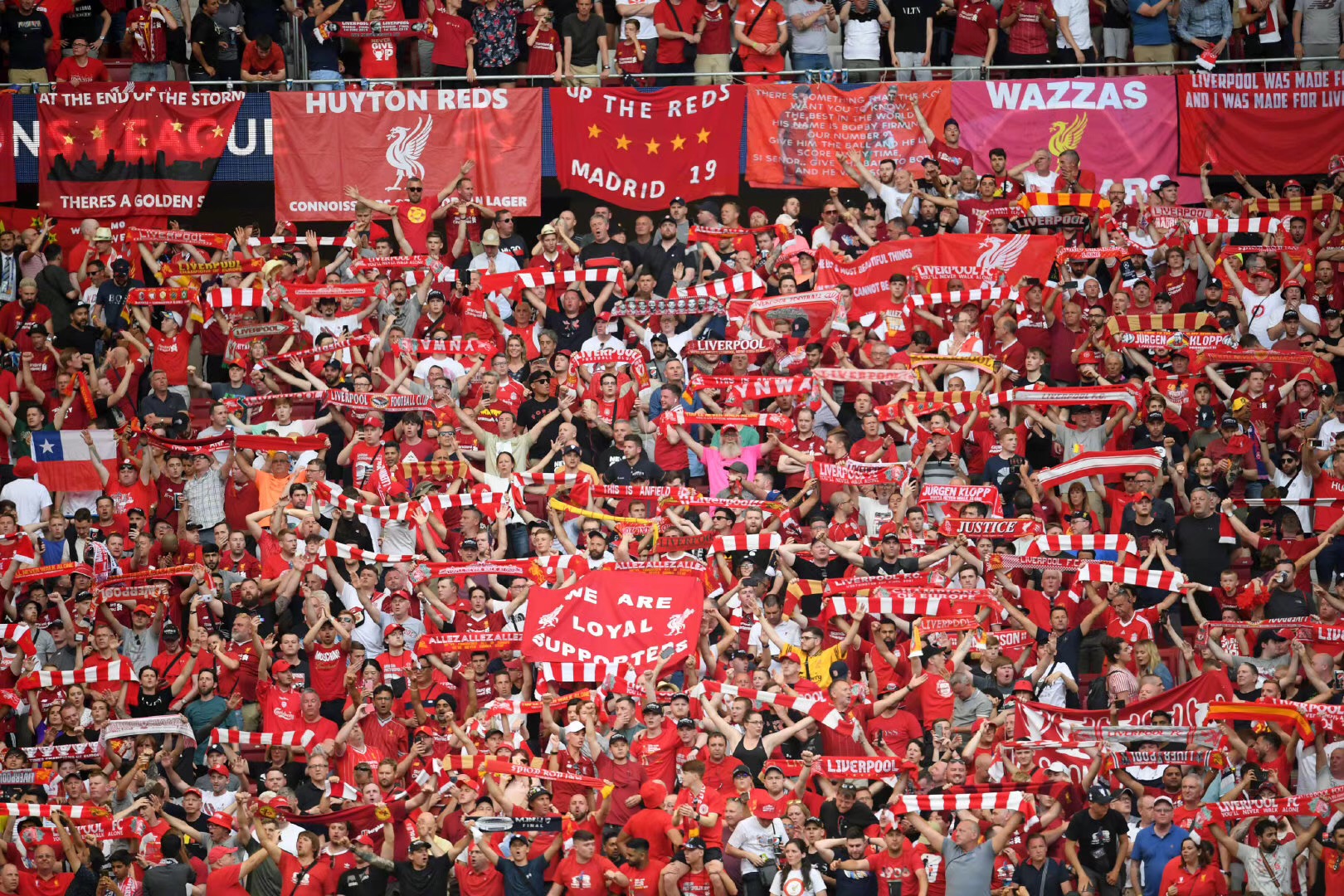 厄德高：拜仁可能是目前欧洲表现最稳定的球队